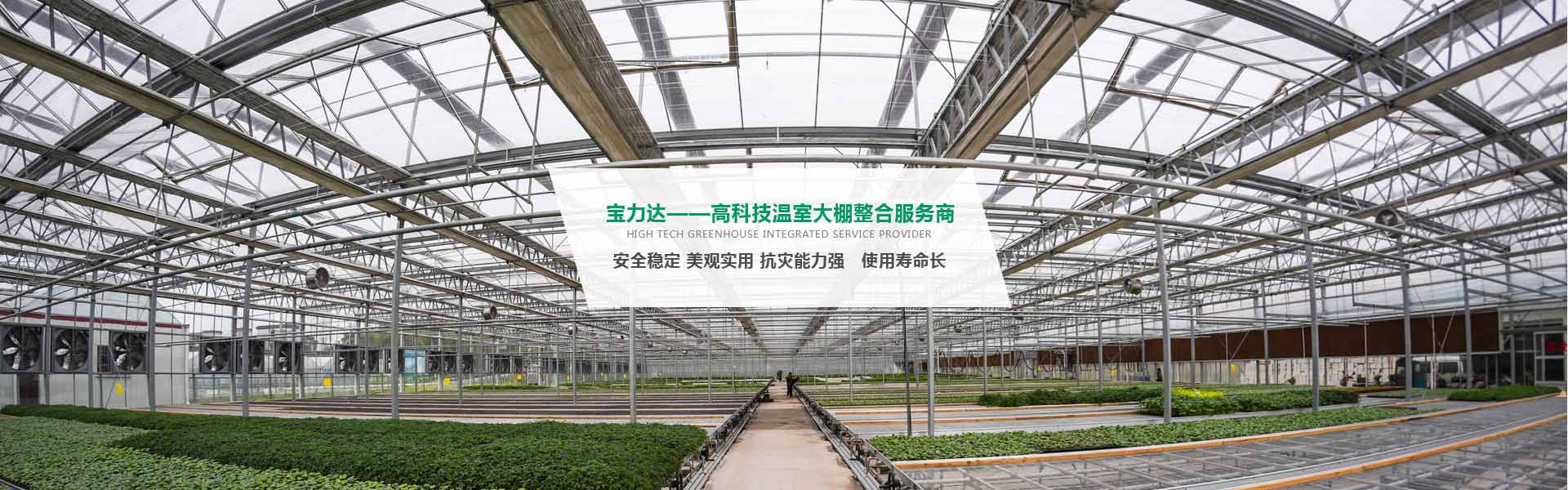 四川鋼架大棚建設(shè) 四川鋼架大棚建設(shè)