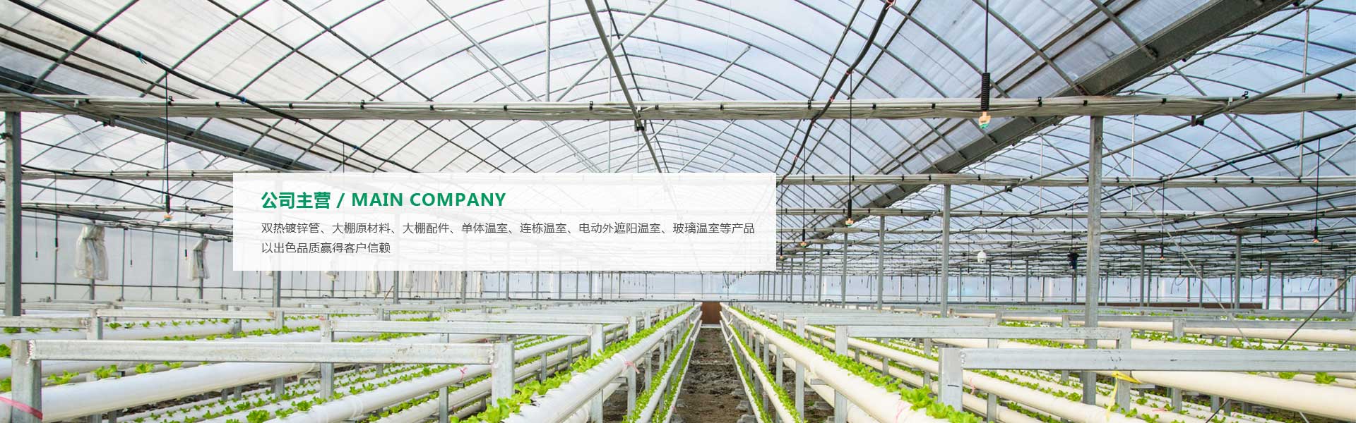 四川溫室大棚設(shè)計(jì) 四川溫室大棚設(shè)計(jì)