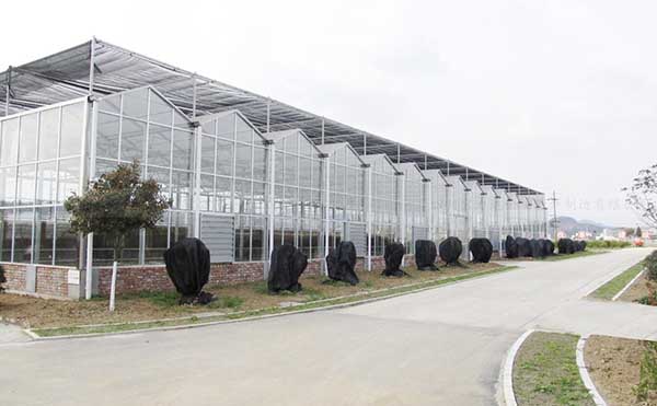 四川陽光玻璃溫室