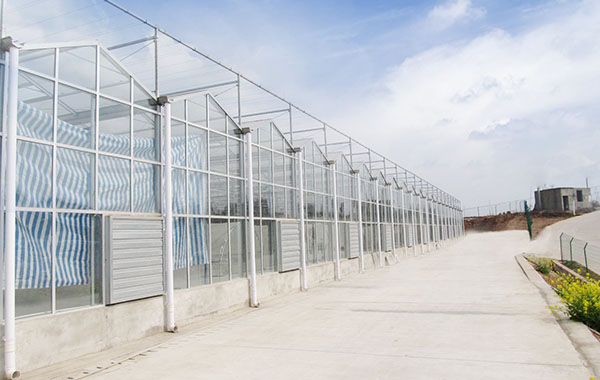成都玻璃溫室