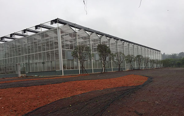 四川玻璃溫室