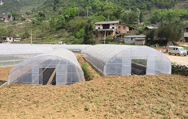 四川單體溫室