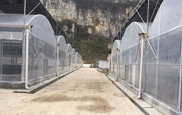 四川電動外遮陽溫室
