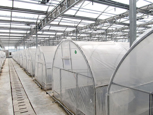 四川鋼架大棚