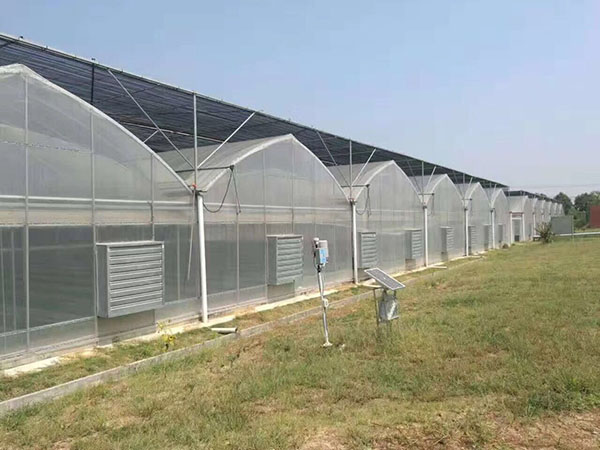 四川溫室大棚