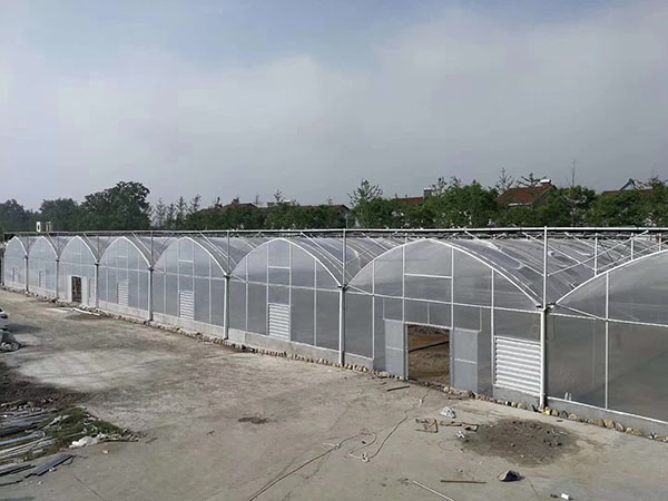 成都溫室大棚