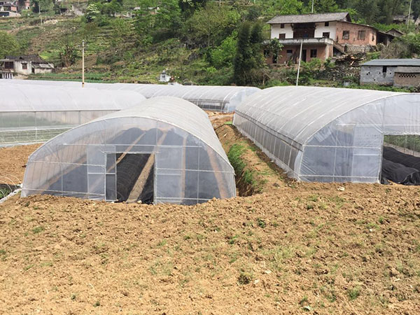 四川蔬菜大棚