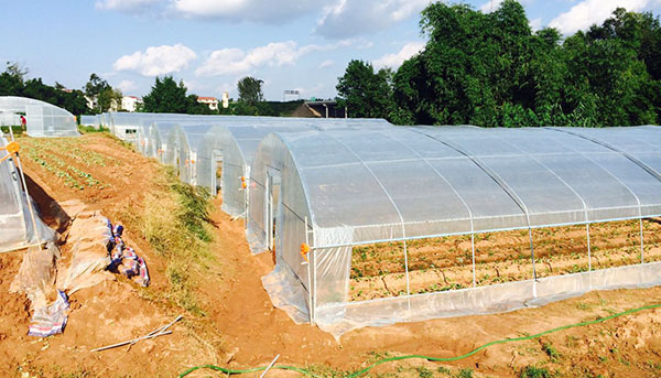 多年行業(yè)經(jīng)驗(yàn)，專(zhuān)業(yè)的技術(shù)團(tuán)隊(duì)