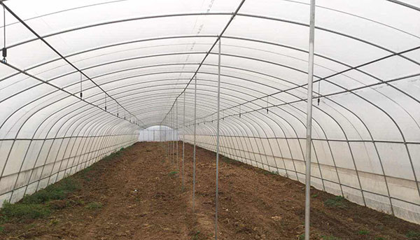 充分理解客戶需求，提供選擇方案