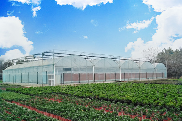 成都溫室大棚 成都溫室大棚