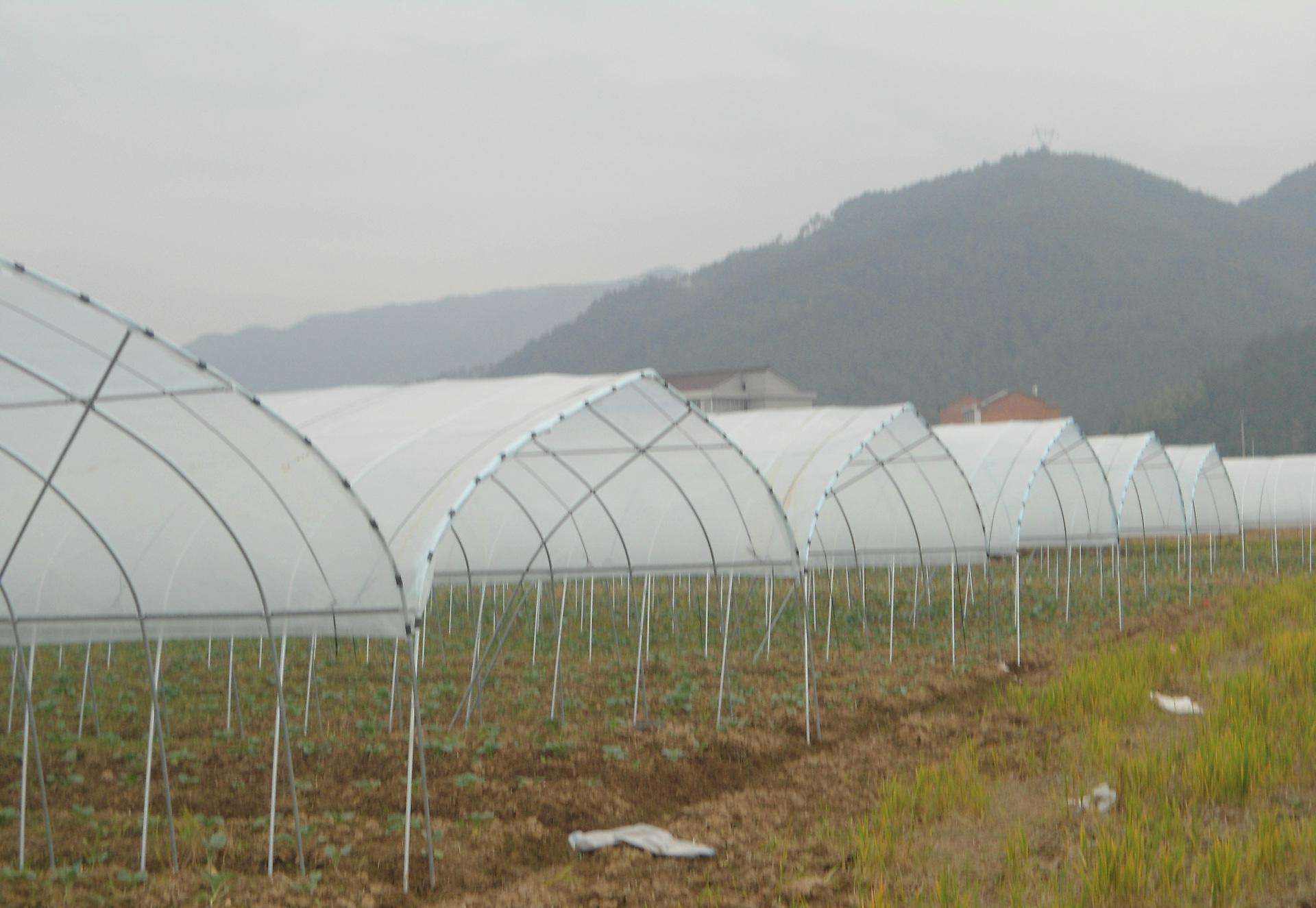 四川溫室大棚 四川溫室大棚