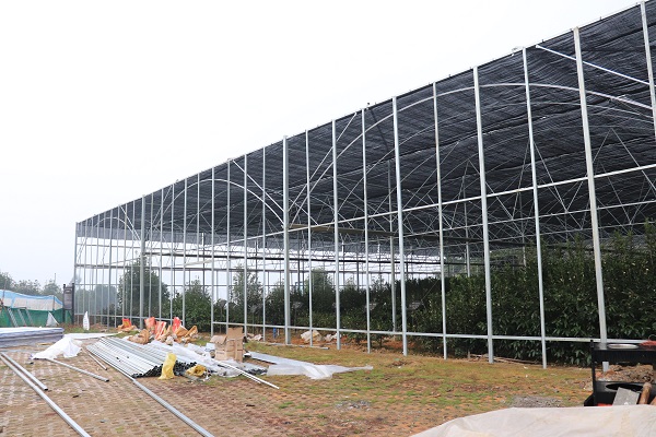 雅安茶園基地智能型溫室大棚