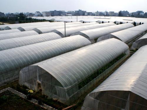 四川溫室大棚 四川溫室大棚