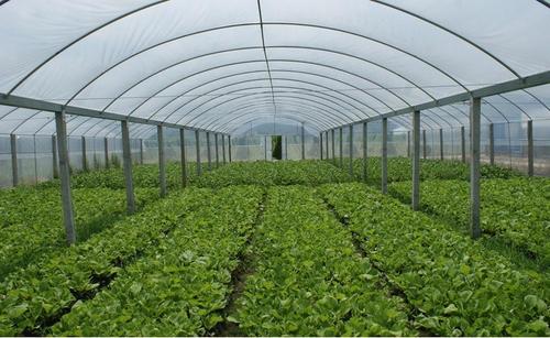 四川溫室大棚 四川溫室大棚